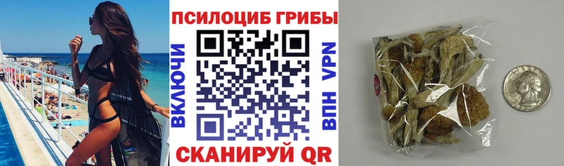 как найти закладки  Аткарск  Галлюциногенные грибы мухоморы 